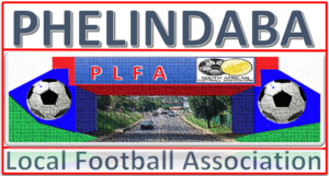 PLFA Logo