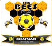 The Bees Football Club (U11)