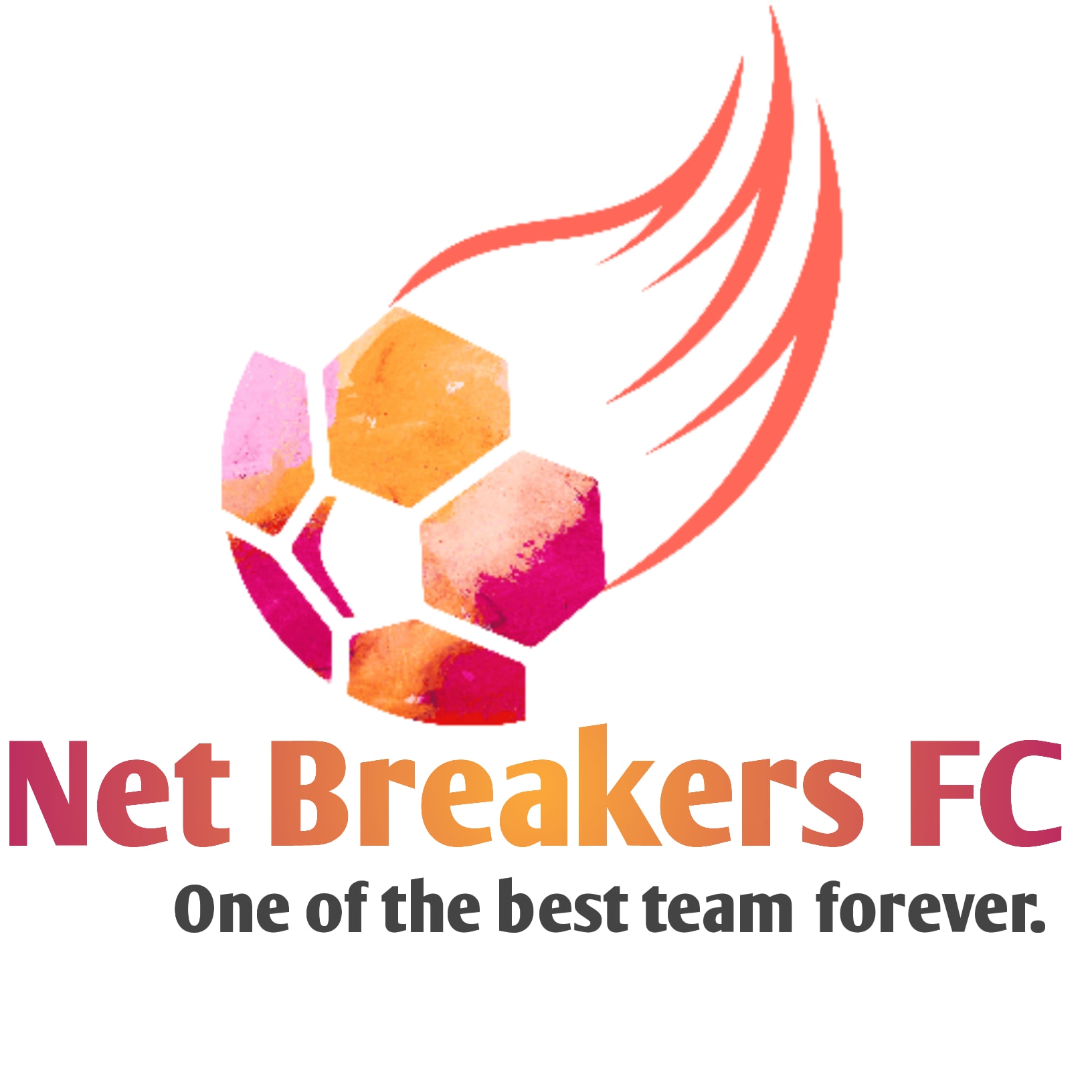 Net Breakers Football Club (U11)